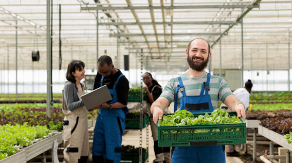 Agriculture Business Ideas