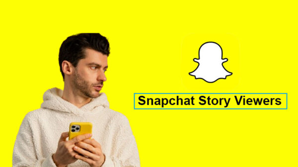 snapchat story viewer