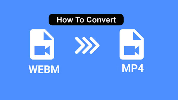 Convert WebM to MP4