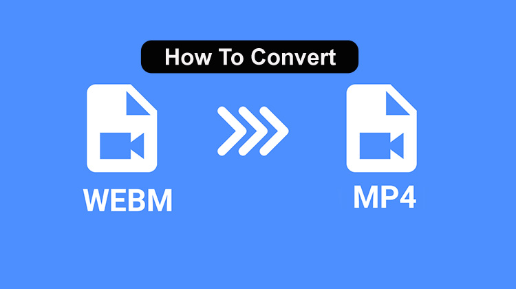 Convert WebM to MP4