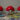 Random Pokémon Picker