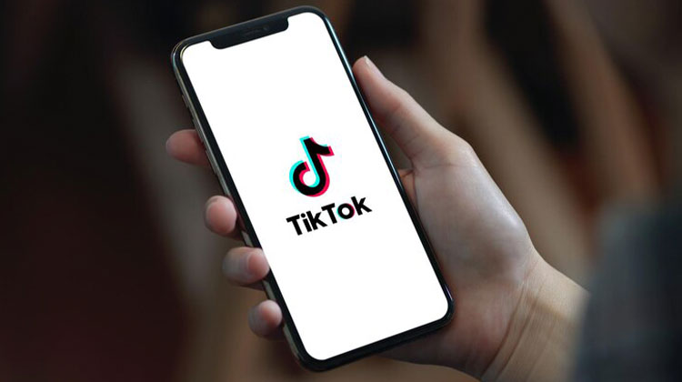 Anonymous TikTok Viewer: How to Watch Videos Privately 5 Anonymous TikTok Viewer