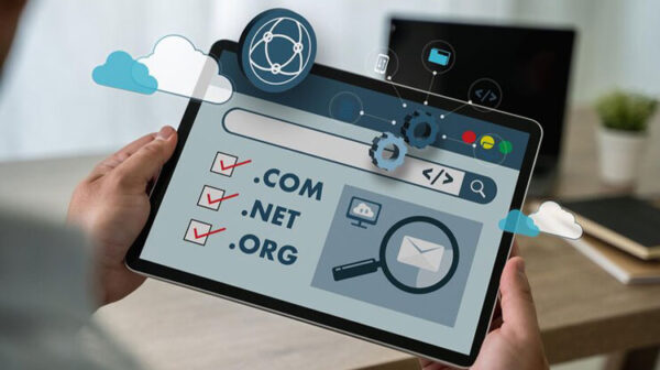 Domain Expiry Checker