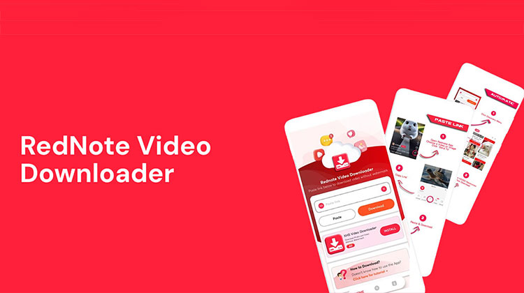 RedNote Video Downloader