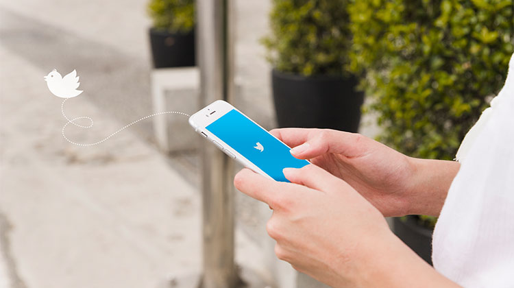 Twitter GIF Downloader