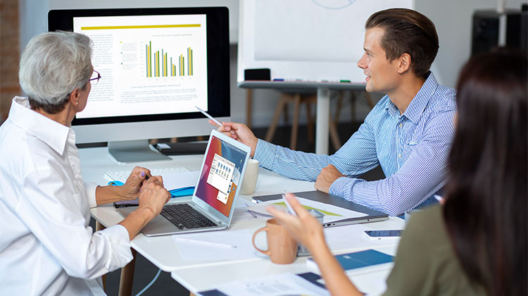 Consultant Management System