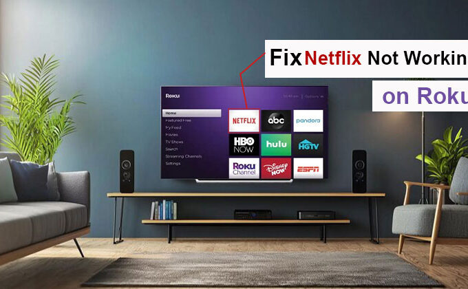 Netflix Not Working on Roku