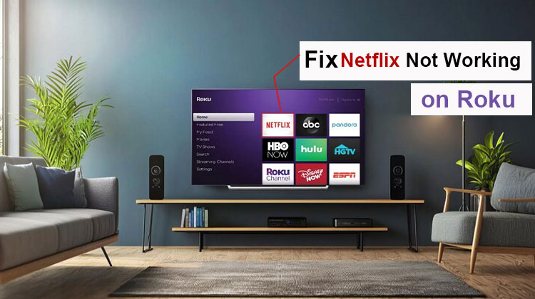Netflix Not Working on Roku