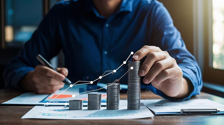 Revenue Based Financing