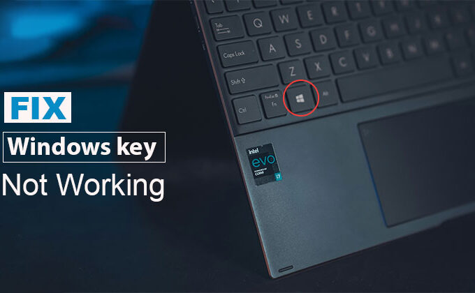 Windows Key Not Working