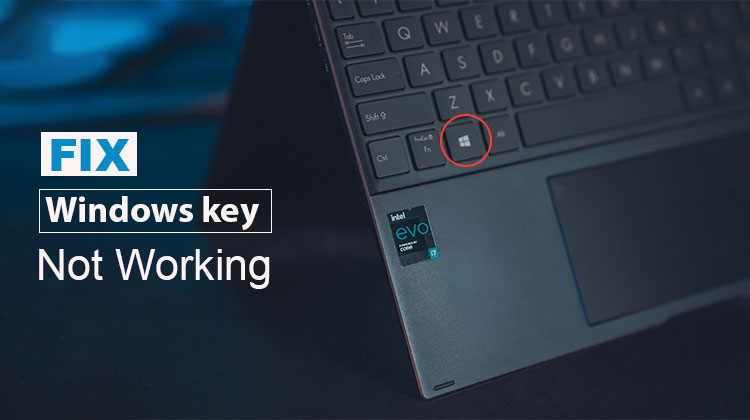Windows Key Not Working