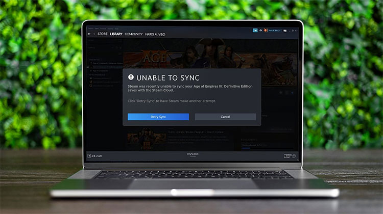 Steam Cloud Sync Error