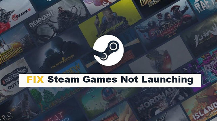 Steam Games Not Launching