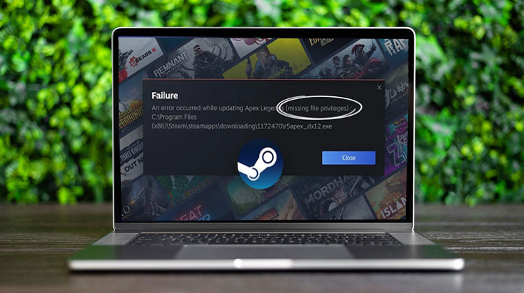 Steam Missing File Privileges