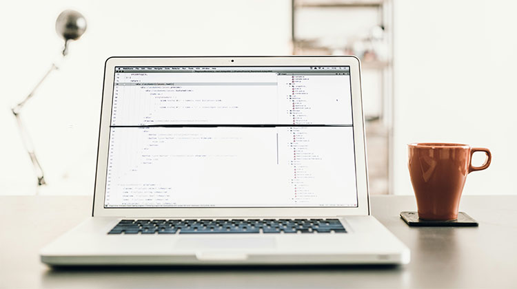 Black Line on Laptop Screen