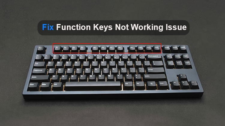 Function Keys Not Working