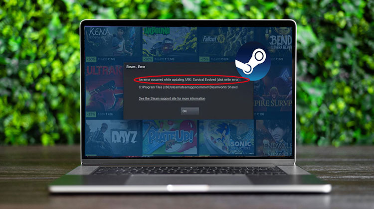 Steam Disk Write Error