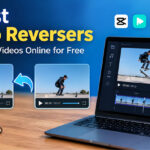 Video Reverser