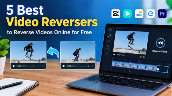 Video Reverser